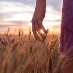 I'm Gonna Walk To The End Of The World (backing) - All music © by tcRothell