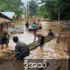 Episode 353:“ဒီဟာကြီးမြန်မြန်ပြီးစေချင်ပြီ”  ရေဘေးဒုက္ခပါထပ်ကြုံနေရတဲ့စစ်ဘေးရှောင်များ