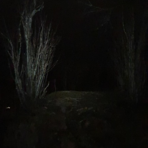 ṧ ṻ ꝟiꝟ I ȓ ș ȋ ꝟꝟ I ʗ ћ ṧ E ƥ ṧ ƥ E ʗ I By Dist Nt Lights Of Ur Rtu