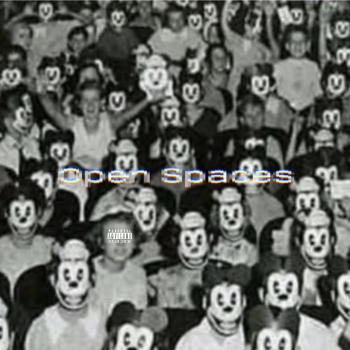 OPEN SPACES