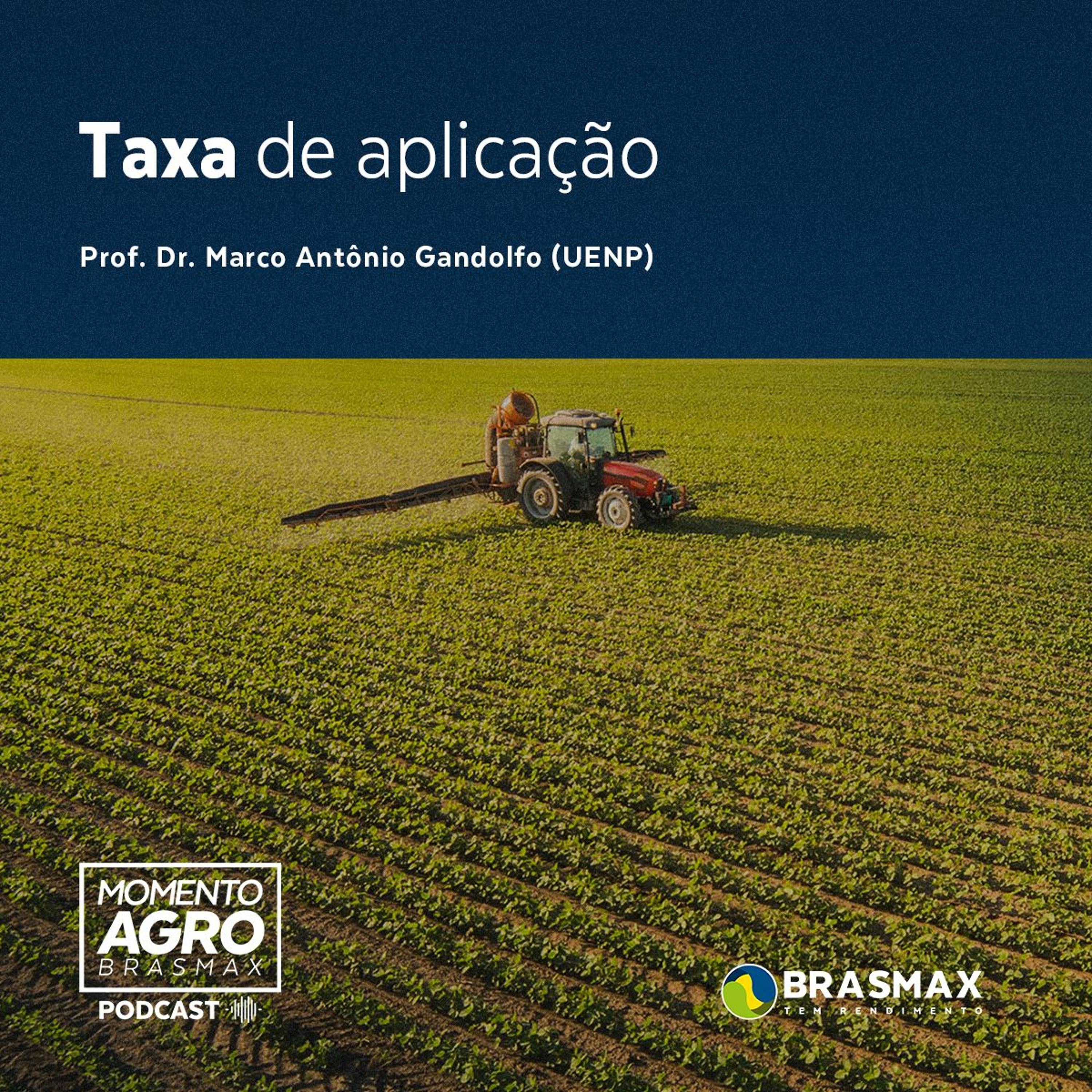 Momento AGRO Brasmax