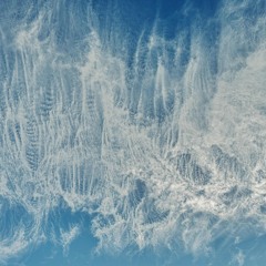 The Flow (Bedroom Sessions)