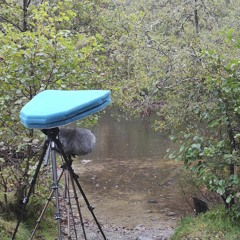 Loch Achilty Rain