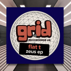 Flat T - Space Frog [Grid Recordings] PREMIERE