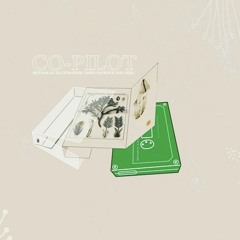 PREMIERE: Co-Pilot - Mother Love Nature [NEW INTERPLANETARY MELODIES Records]