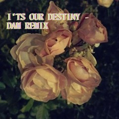 I'ts Our Destiny - DAM Remix