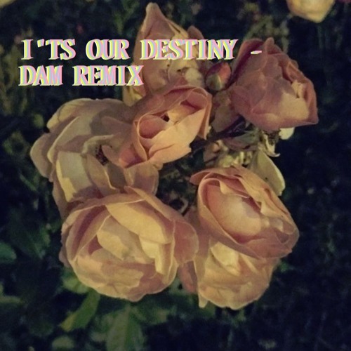 I'ts Our Destiny - DAM Remix