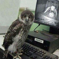 卄ㄚ卩乇尺卩ㄚ尺乇乂丨卂