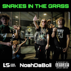NoahDaBoii - SNAKES IN THE GRASS