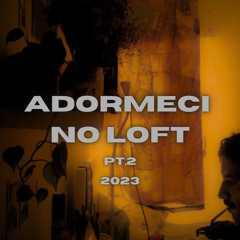 ADORMECI NO LOFT PT2