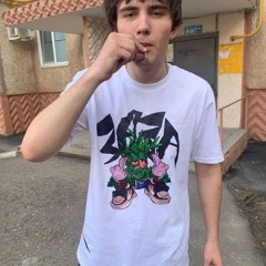 zolik/freestyle