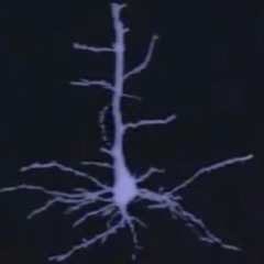 всем падшим (foreless)