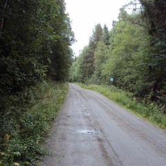 Lucien Basdevant - Petite Balade En Foret Avec Marguerite