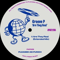 PREMIERE: GROOVE P - ARE THEY REAL [PLEASED AS PUNCH]