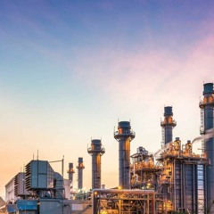 Kaushik Palicha - Chemical Industry Challenges