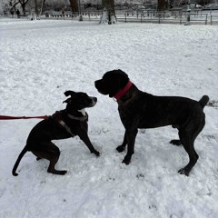 Englishman in NY Remix (Mr. Ryan Remix)