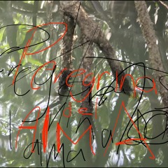 Pasando por La Chorrera - Cumbaví