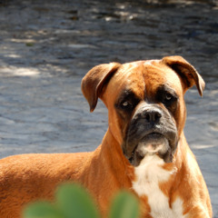 Nas - It Ain't Hard To Tell (Remix)