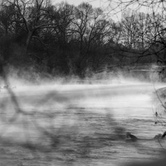A River In January (Naviarhaiku 368)