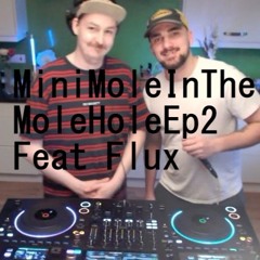 MiniMoleInTheMoleHoleEp2 Feat Flux