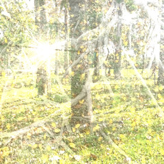 ⛰️Random X Subarashi X Budtribe - 雲霧繞在山裡面