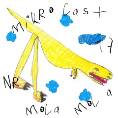 Mikrocast 17 – Mola Mola