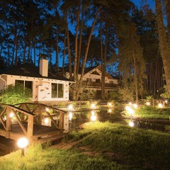 Light Up Your Home with Outdoor landscape Lighting Services in Sarasota.