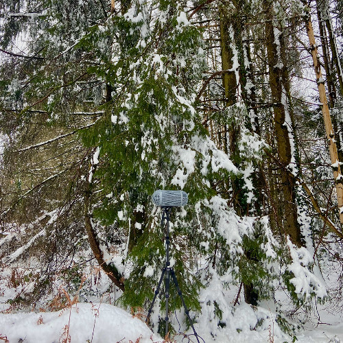 250316 · Bois de Toulx (Creuse, France) · Melting Snow Variations