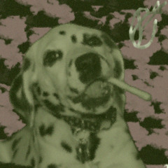 jazzfusionfunkdnbfan123