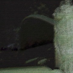 įrašas iš "Naktinė Naktis"