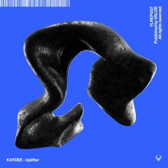 KAYDEE - Crashing The Groove [VLREP007]