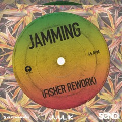 Jamming x Coco Bongo - FISHER, Bob Marley X Tom Tyger, Nico De Andrea (Juulik Extended Mix)