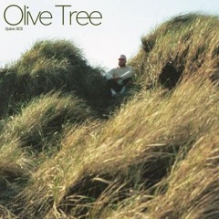 Olive Tree Quinn XCII When the one holdin' the world Pullin' them strings, makin
