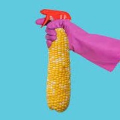 Corn Moment
