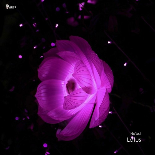 Lotus
