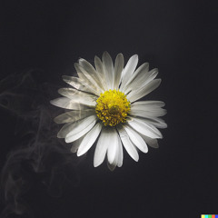 COLD CIGARETTE