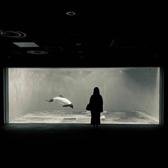 サマーオブラブ