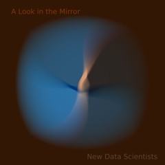 A Look In The Mirror