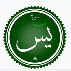 سورة يس || للقارئ أحمد شريف
