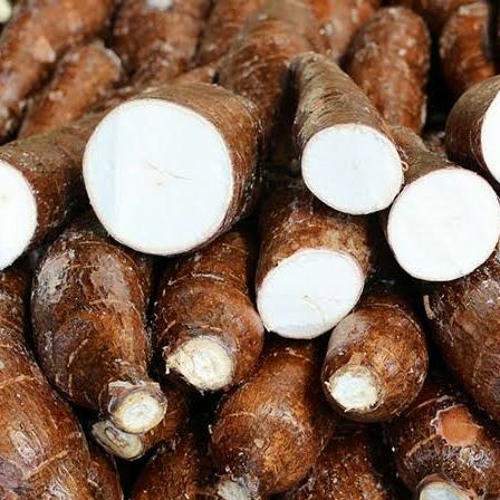 Stream episode A história da mandioca by Brinquedoteca de Histórias da