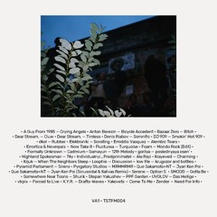 Premiere: Fluctuosa — Turquoise