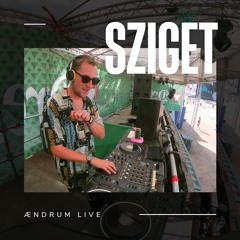 ÆNDRUM @ Sziget Festival, Budapest - 10.08.24