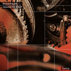 333# PREMIERE: Echofaze - Bathroom Chats [Tecnotecsi Records]