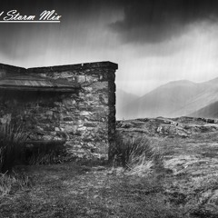 The Sheltered Storm Mix (2013)