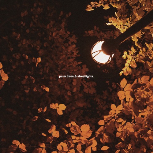 LEVI - palm trees & streetlights