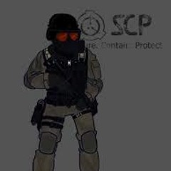 Chaos Insurgency Song