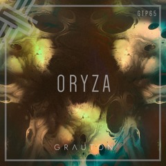 Grauton #065 | ORYZA