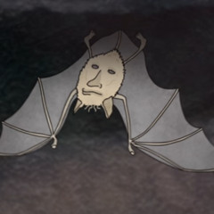 Wobbawonkwabwhack