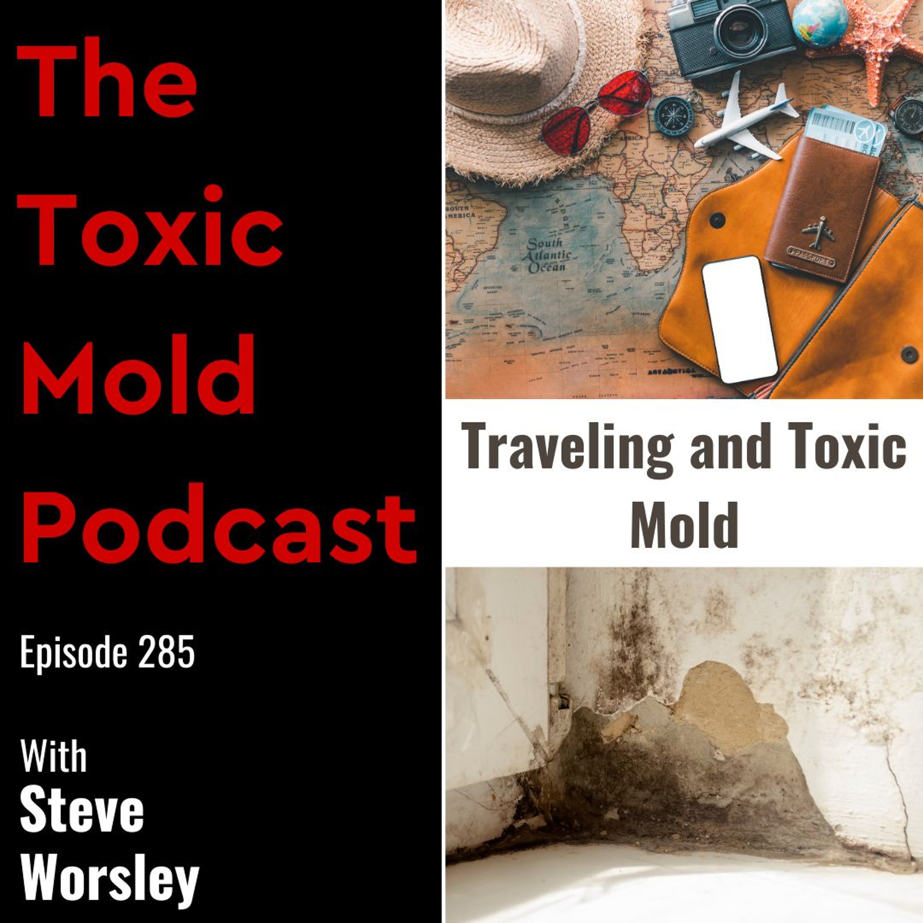 The Toxic Mold Podcast