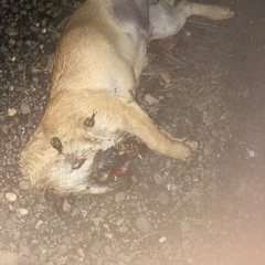 you're gonna be okay